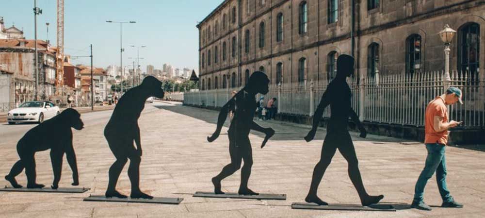 Evolution of mankind